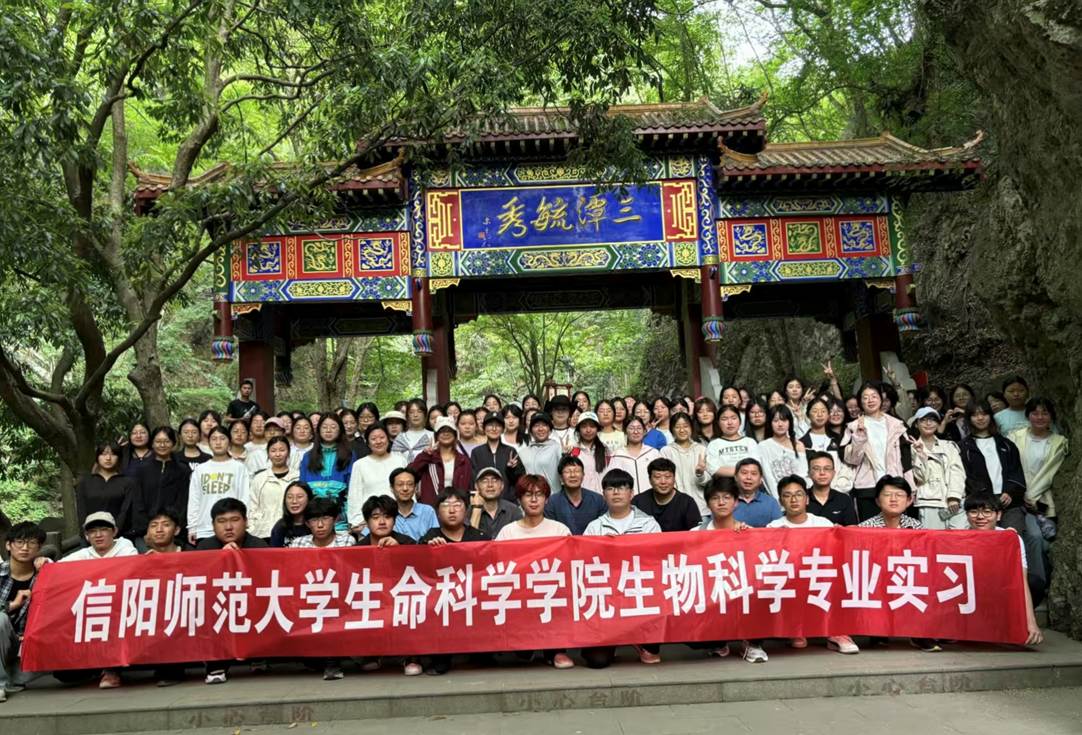 图示, 示意图
中度可信度描述已自动生成:ver1 图示, 示意图
中度可信度描述已自动生成:ver1